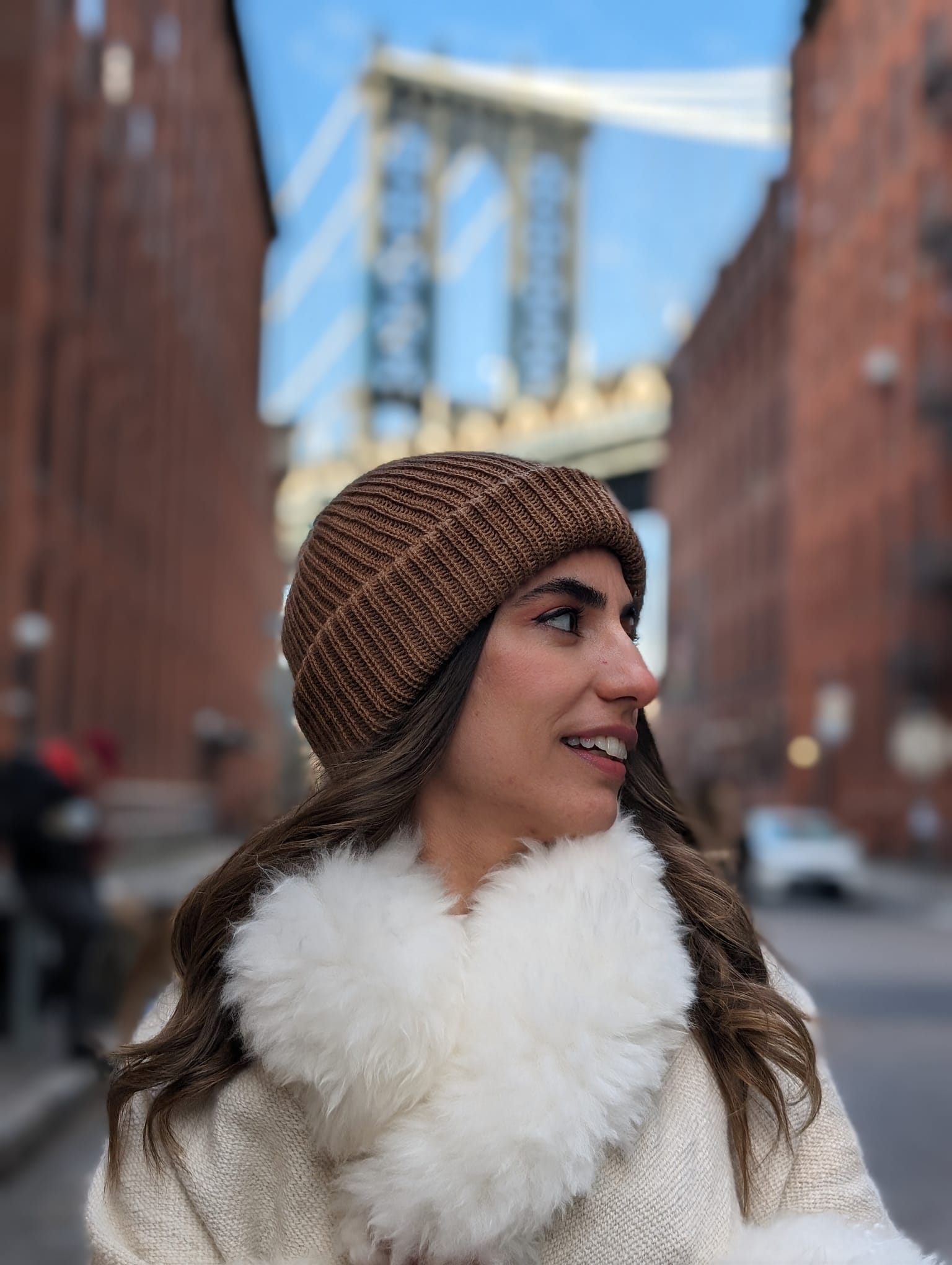 Baby Alpaca Wool Beanie Brown